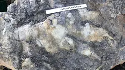 Óriási dinoszaurusz lábnyomára bukkantak az Egyesült Királyságban