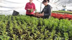 Számvetés – 2022 (2.) - Maximális alkalmazkodóképességre törekszünk