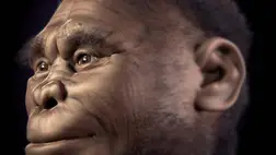 Elveszett emberfajt találhattak egy szigeten