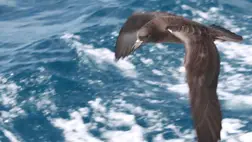 Ijesztő új betegség jelent meg, amit a műanyagok okoznak