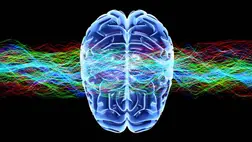 Rémisztő kutatás: saját agya hozhatja bajba az embert