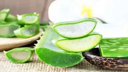 Ennyi mindenre jó az aloe vera