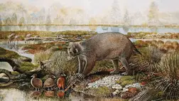 Új ősi erszényesfajokat fedeztek fel ausztrál paleontológusok