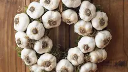 Megismerkedhetünk a fokhagyma ültetését követő ápolási munkálataival, betakarítási módjával, valamint a minőségét hosszan megtartó tárolási fogásaival.