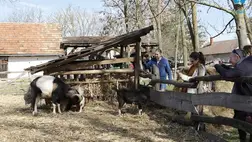 Kiscsősz, a hagyományfalu (3.) - Hagyományőrzés, értékteremtés a Kárpát-medencében. Fotó: Kovács Ivett 