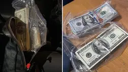 Húszezer dollárt akartak átvinni a tiszaújlaki határon. (Fotó: Kárpátaljai Vámhivatal)