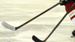 Jégkorong. Illusztráció