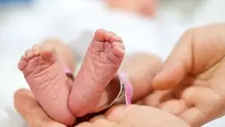 Újszülött. Illusztráció