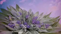  Ez a gyógynövény a „halhatatlanság füve” 