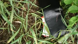 Megalapozott gyanú miatt büntetőeljárást folytatnak egy 22 éves, és egy 19 éves mátészalkai, egy 17 éves ópályi, valamint egy 15 éves jánkmajtisi lakosok ellen. Fotó: Police.hu