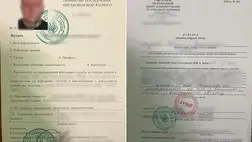 Hamis okmanyokkal akarta elhagyni Ukrajnát Asztélynál. Fotó: Ukrán Állami Határszolgálat