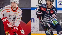 Magyar válogatott játékost igazolt a Fehérvár