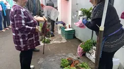 Ideálisan alakul a palántaszezon. Fotó: Kárpátinfo/Kovács Elemér