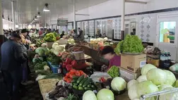 Sikeres szezonban reménykednek a zöldségkertészek. Fotó: Kovács Elemér