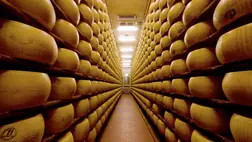 Nem fog örülni, ha megtudja, mit tartalmaz a parmezán sajt