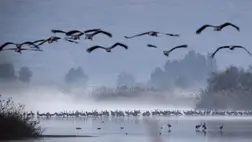 Már egy rövid hőhullám is megváltoztathatja a vízi ökoszisztémákat