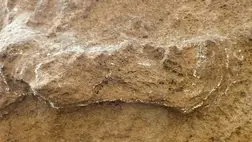 A világ legrégebbi ismert emberi lábnyomát azonosíthatták Dél-Afrikában