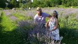 A Beregardai Hegyalja Levendulamezőn. Fotó: Kárpátinfo/Kovács Erzsébet