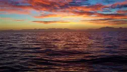 Fajok tömegei pusztulhatnak el észrevétlenül az Atlanti-óceán melegedése miatt