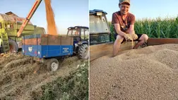 Az árpa levágása után megyénkben nyomban elkezdődött a kenyérgabona betakarítása. 