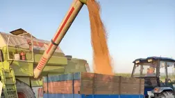 Aratás. Illusztráció