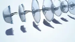 Mi a közös egy medúzában, egy macskában, és egy asztronautában? A matek.