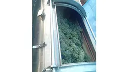 Szüreti előkészület