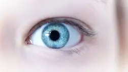 Szemünk színe olyan egyedi, mint az ujjlenyomatunk