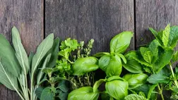 5 érv a zöldfűszerek fogyasztása mellett