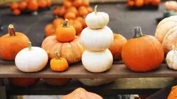 Támogatja az emésztést és erősíti az immunrendszert - 5 tény, amit jó tudni a sütőtökről