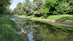 Így fenntartható a folyók és ártereik kezelése