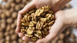 Ezt teszi a szervezeteddel, ha napi 2 marék diót eszel - Rákellenes és csontvédő