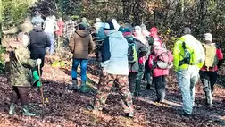 Kárpátalján megtalálták egy eltévedt férfi holttestét, aki gombászni indult a beregszászi járási erdőbe. Fotó: DSZNSZ