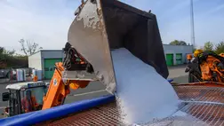 Nem is gondolnánk, mi veszélyezteti télen a növényeinket