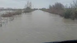 A víz szinte teljesen elöntötte a Feketeardóból Szőlősgyulára vezető utat
