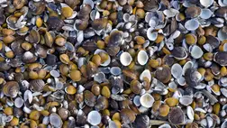 Akár kétszáz évig is élhetünk? Megfejtették hogyan!