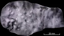 Ördögi átkot találtak egy meglepő helyen