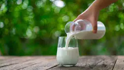 6 olcsó, házi praktika tejjel: a bőrápolásnál, a takarításnál és a kertben is hasznos