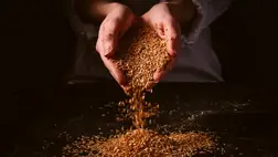 Ijesztő panaszokat okozhat a lenmag