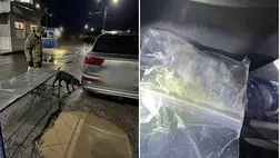 Marihuánát találtak az asztélyi határátkelőhelyen az ukrán vámosok. Fotó: Ukrán Állami Határőrszolgálat