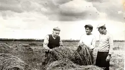 Kárpátaljai magyar anekdotakincs - Gizike jó lány… A fotó illusztráció. Kolhozidők...