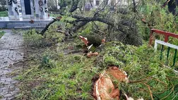 Viharkárok Badalóban