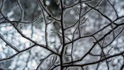 Havas idő. Illusztráció