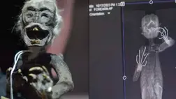 Sokkoló részletek derültek ki egy bizarr sellőmúmiáról, még a tudósok is megdöbbentek 