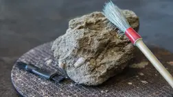 A kihalt ősi óriáskenguruk három új faját azonosították ausztrál kutatók