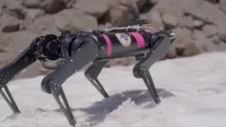 Robotkutyákat küldenének a Holdra