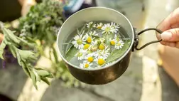 7 isteni finom tea stressz és szorongás ellen - Nyugtatják a lelket és felüdítik a testet