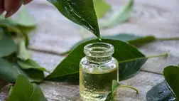 Ez az olaj eltünteti a pattanást! Egy igazi csodaszer 