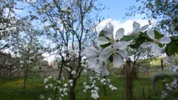 Rekorddöntő a februári átlaghőmérséklet