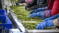 Az A-vitamin-csoport elnevezésének és táplálkozási ajánlásának átalakítását javasolják kutatók 